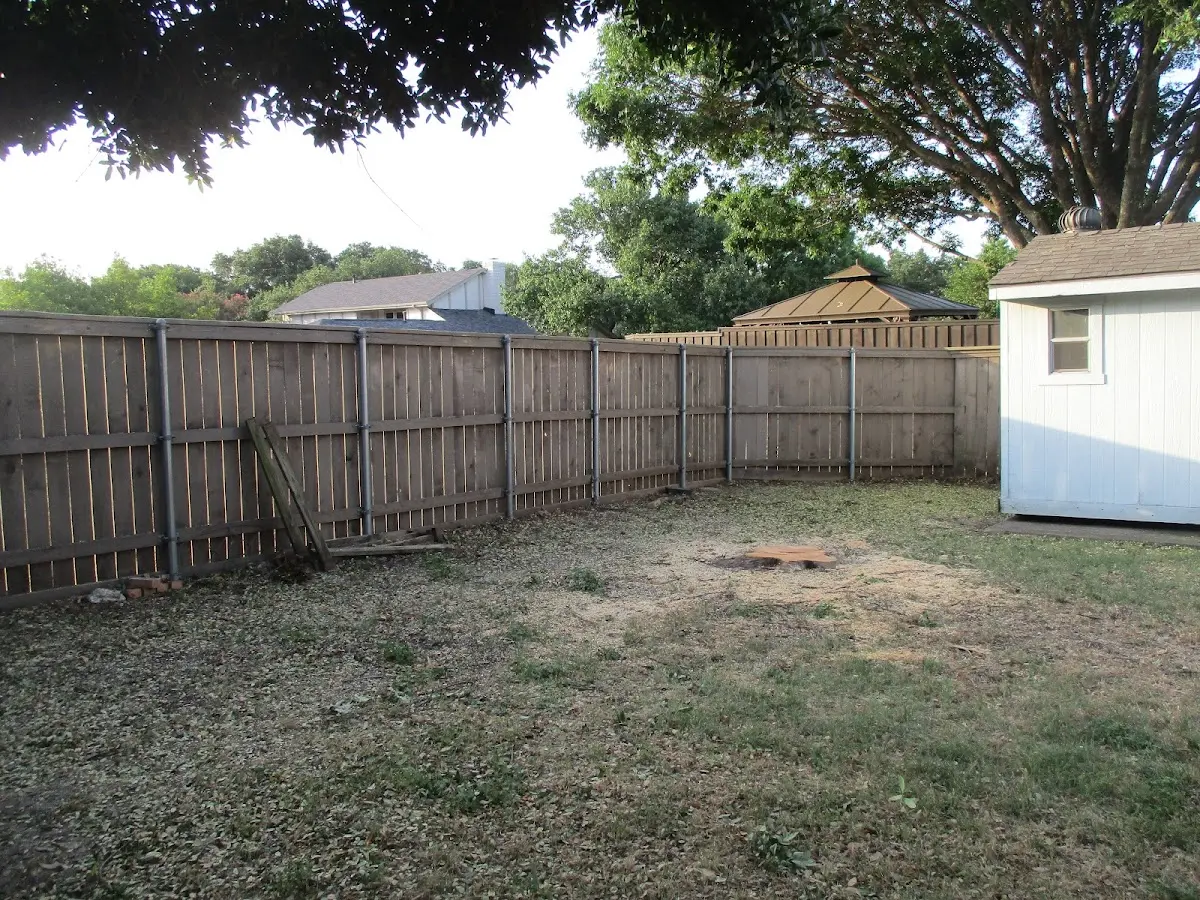 Cleared yard after professional tree removal in Olathe